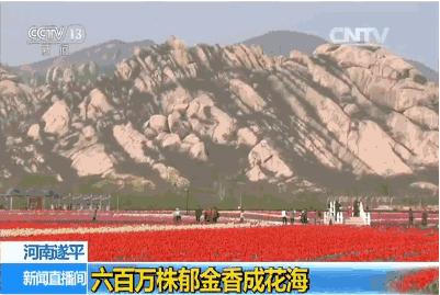 忆清明祖辈给我们留下了什么?