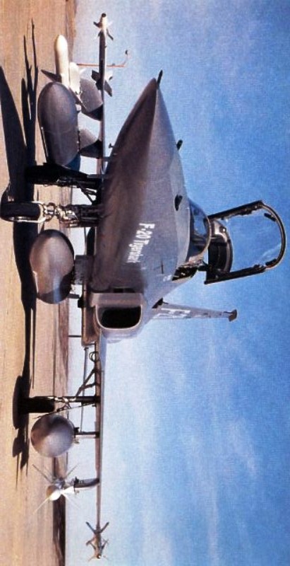 虎鲨悲剧,极富悲剧色彩的虎鲸