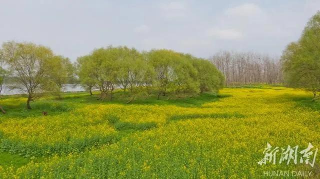 终于等到这一天轻音乐,终于等到这一天粤语