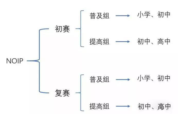 八中、南开、西附学子入选国家集训队！一文搞懂信息学竞赛