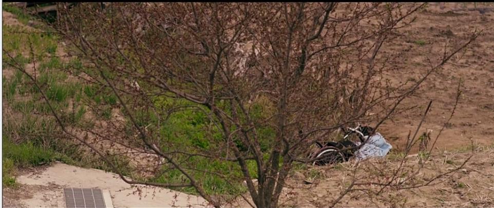 翻拍韩国的小小的愿望,小小的愿望翻拍韩国哪部电影