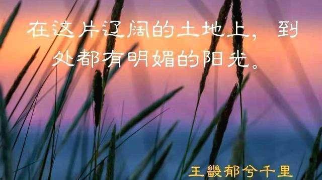 石家庄市藁城区，燕赵天府，冀中明珠