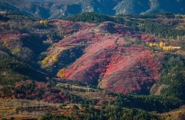 济南旅游景点推荐带孩子玩,济南旅游景点推荐适合带孩子