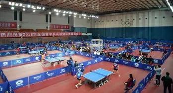 值得收藏的运动器材,运动场地免费开放