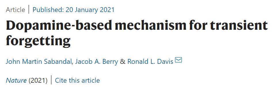 恋爱中的人多巴胺,恋爱中的人智商为零