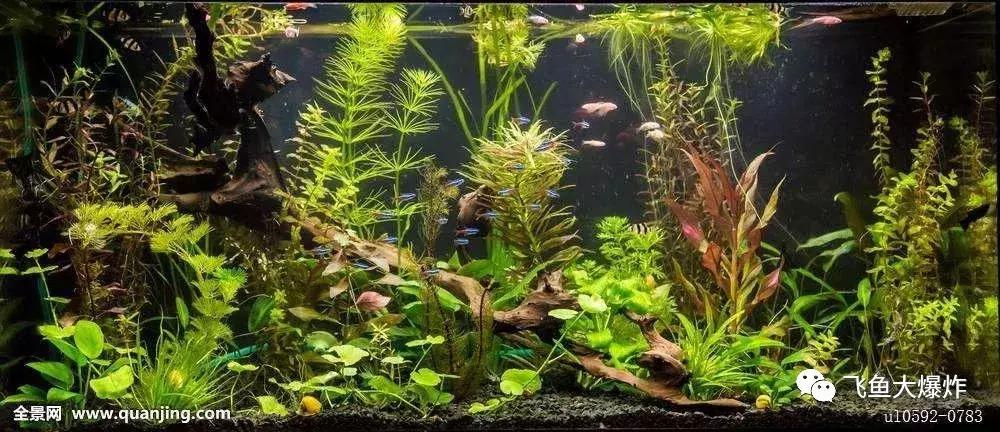 臭氧除菌，你用过吗？