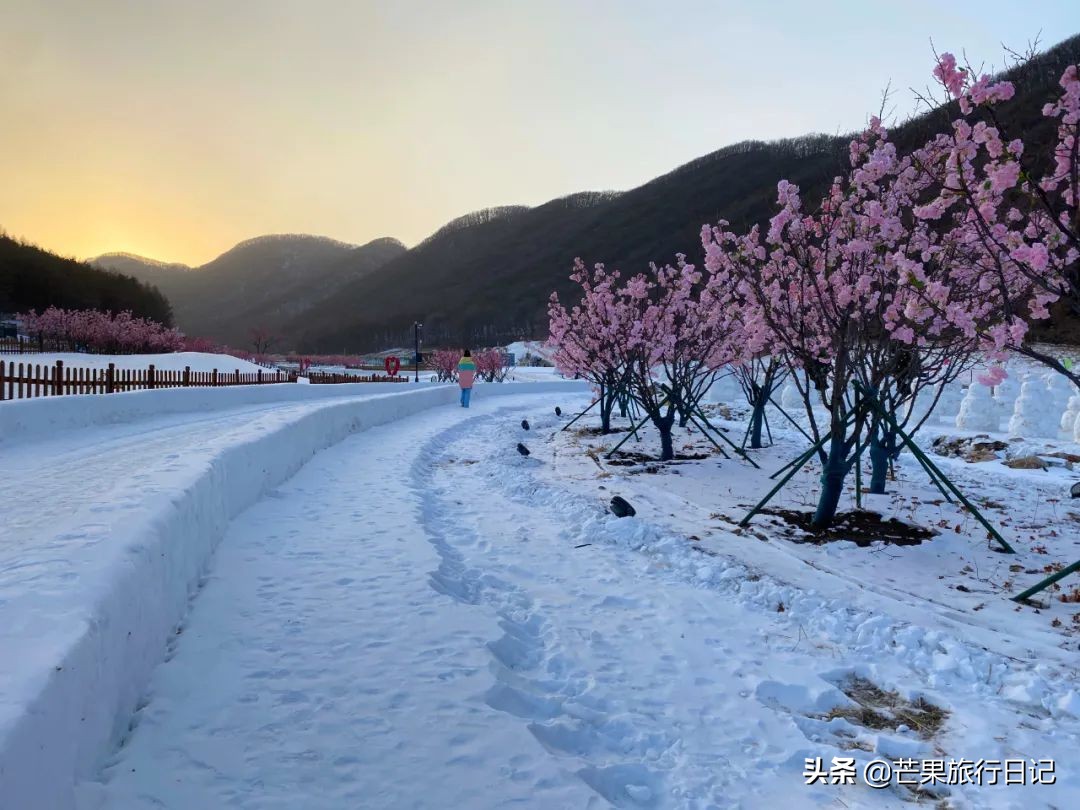 吉林省会长春名字的由来,你对长春的印象