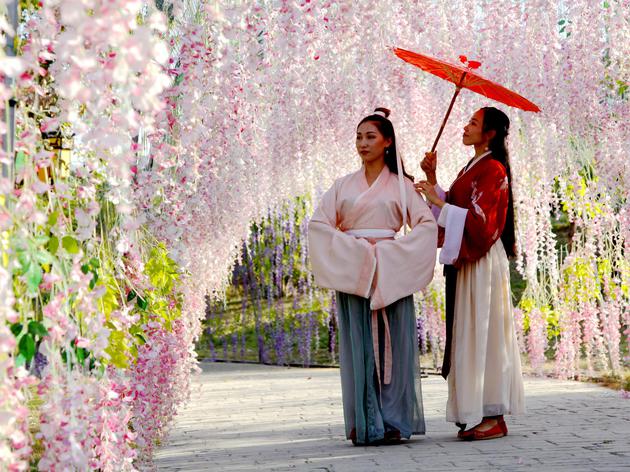 关于北海汉闾文化园的历史,汉闾文化园的各国风情