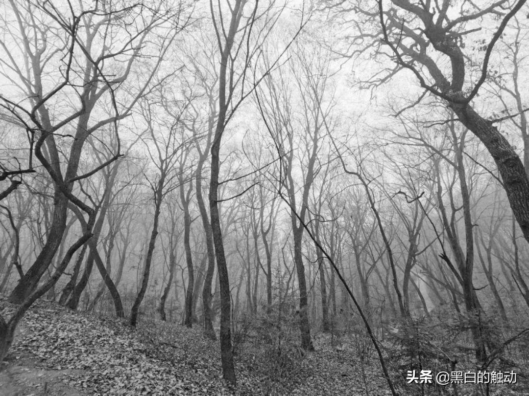 道教第一发源地在哪座山,轩辕问道广成子