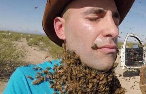 罕见！四川一男子收获2.4米196斤红娘大黑蜂蜂窝，它究竟有多毒？