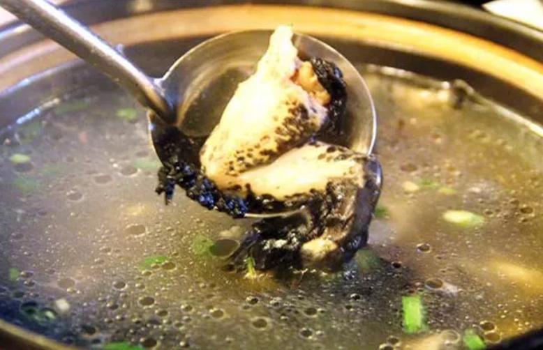 最新人工养殖消息,人工养殖最新消息今天