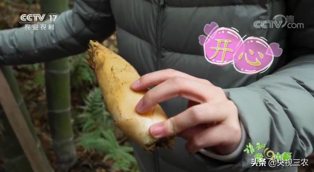 冬笋炒腊肉怎么处理去除涩味,湖南腊肉冬笋怎么做才不会有涩味