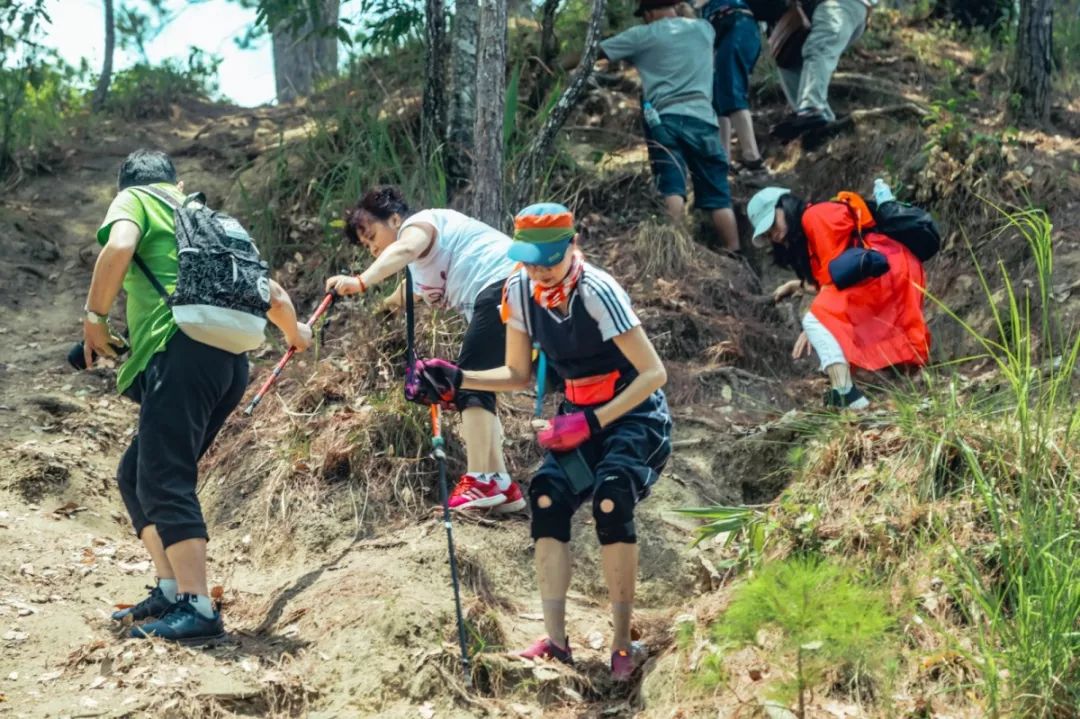 在清迈逛夜市感受泰国人慢生活,去清迈享受放下脚步的慢生活