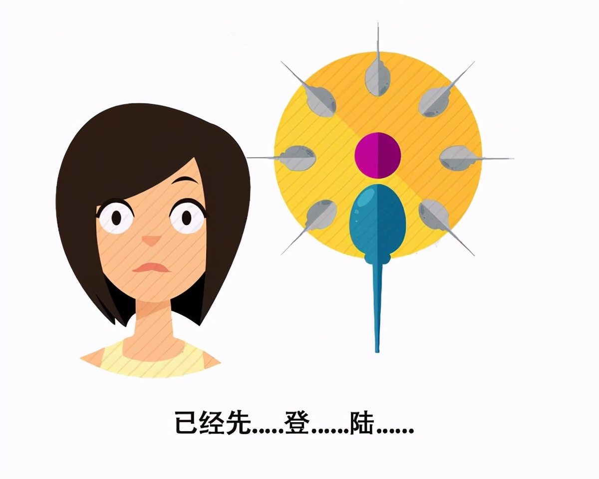 一出生就已“赢”了?一个精子可以受孕,其余“兄弟”又去哪儿?