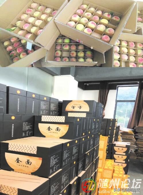 山货“翔舞”满华夏——广水“双创”大潮中的电商力量