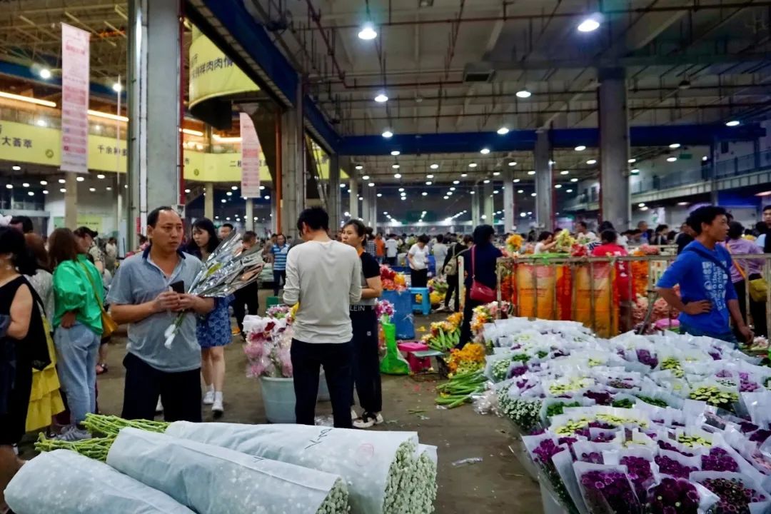 玫瑰花10支批发高原红,最好看的鲜花批发市场