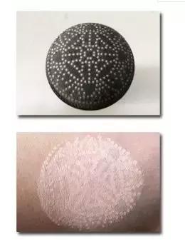 花西子气垫遮瑕持久不脱妆,气垫粉底遮瑕持久不脱妆双层