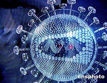 hpv低级病变可以备孕吗,Hpv感染及宫颈癌预防