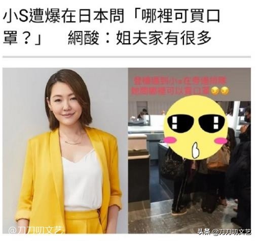 大s范玮琪口罩事件,范玮琪口罩事件真相