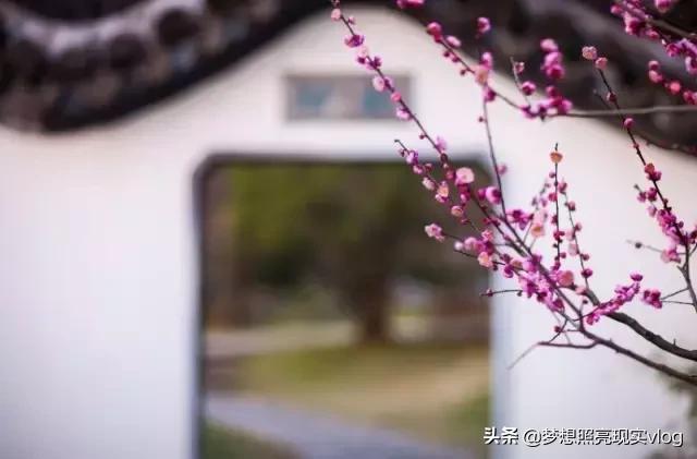 如此才华横溢的打油诗,如此才华横溢