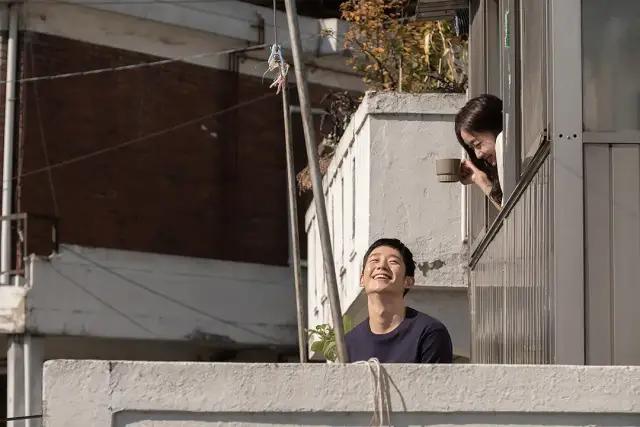 夏天最值得看的电影,十部必看经典电影夏天