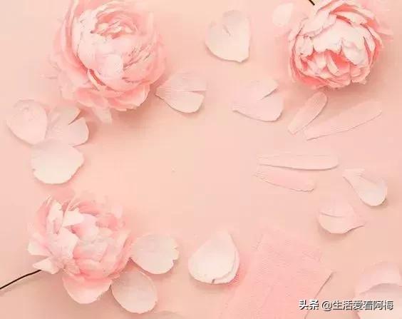 皱纹纸花朵手工艺术,纸艺玫瑰花的制作方法皱纹纸