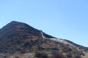 秦始皇到底是怎样的一个人,秦始皇到底是怎样的人