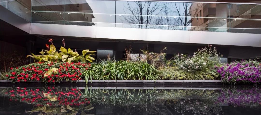 永威上和院装修案例,永威上和郡大平层装修