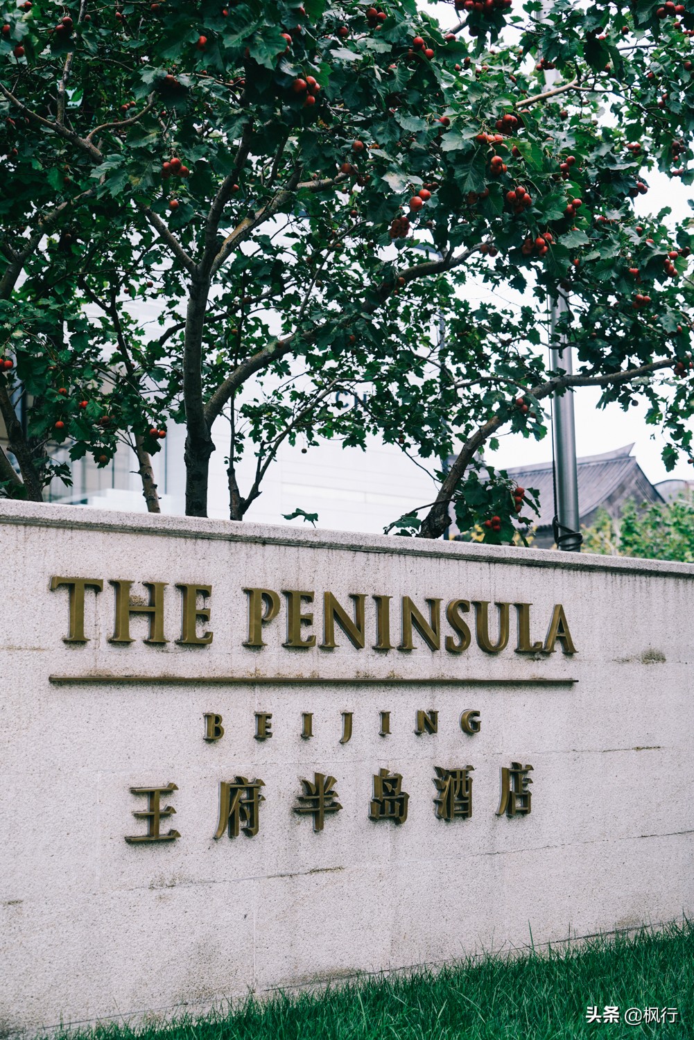 豪华王府饭店的餐厅周菜单，颜值高如帅主厨，老百姓也消费得起