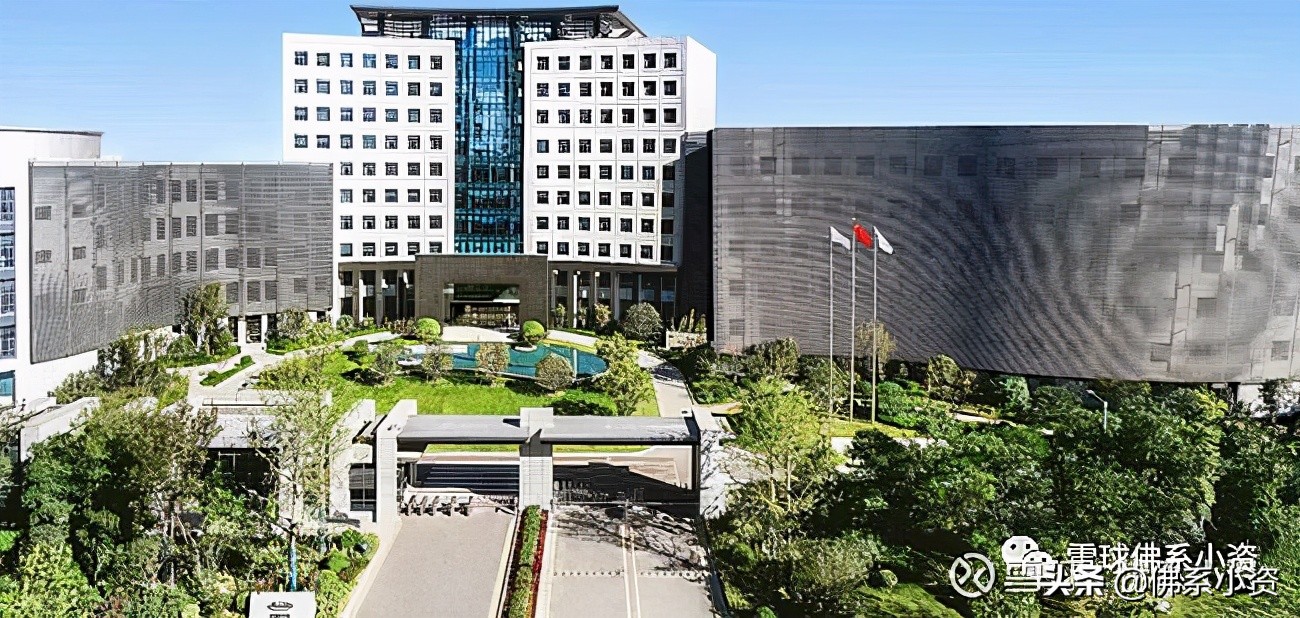 一季度景顺和高瓴同时买入，一家体外诊断龙头公司