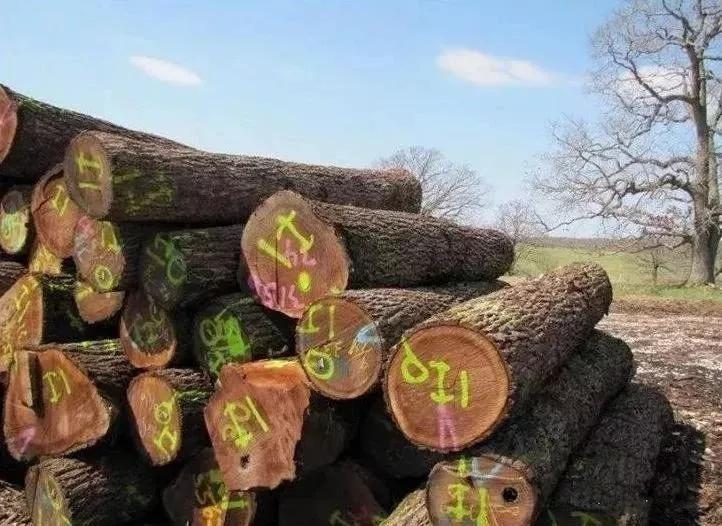 黑胡桃木实木地板什么档次,北美黑胡桃木地板多少钱一平