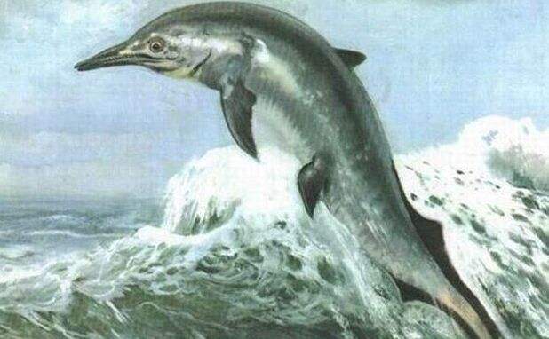 长江珍贵动物,长江唯一哺乳动物