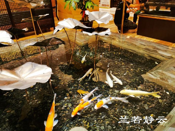 漳州角美华源温泉价格,漳州角美旅游酒店