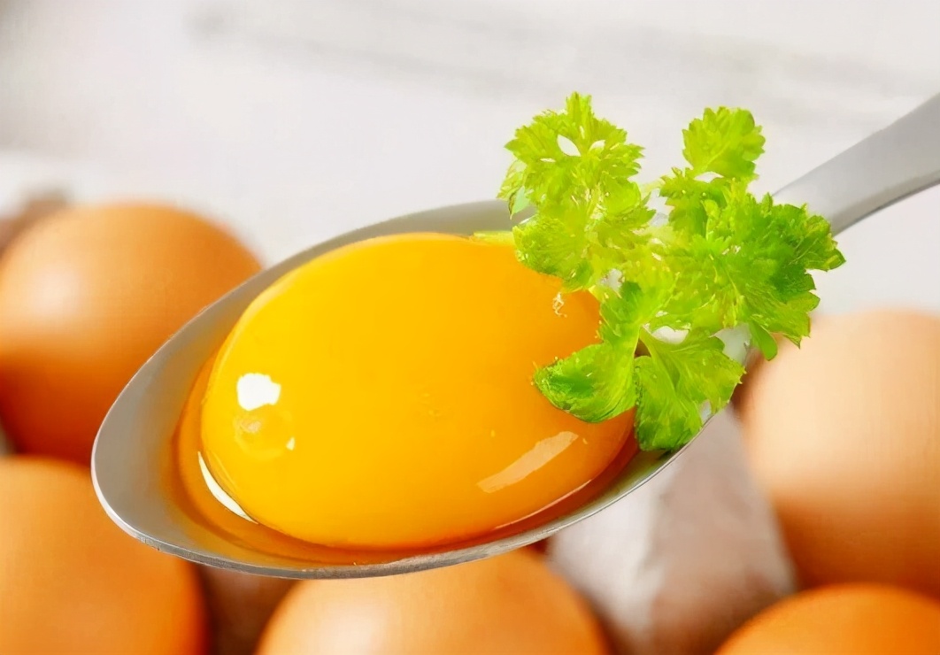 给狗狗做食物可保存,给狗狗做什么保健