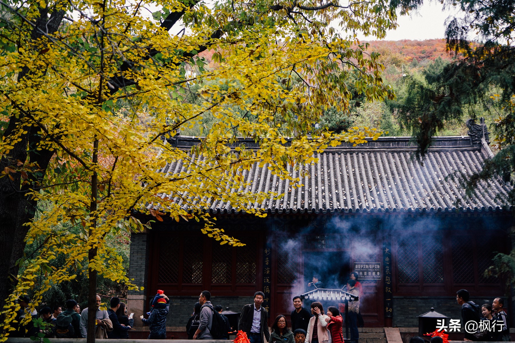 北京18个看银杏的好地方在哪,北京八大处看银杏攻略