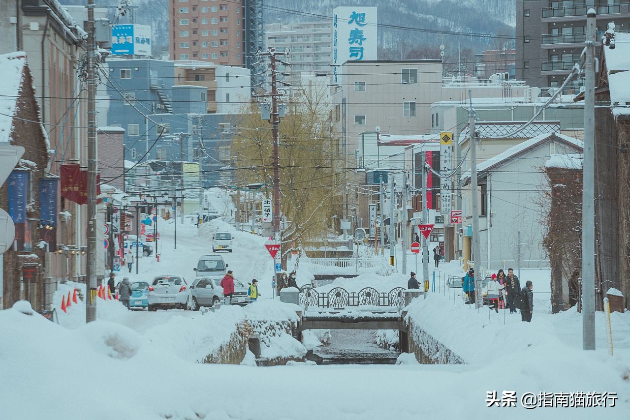 双十一捡漏不迷路,双十一旅游机票