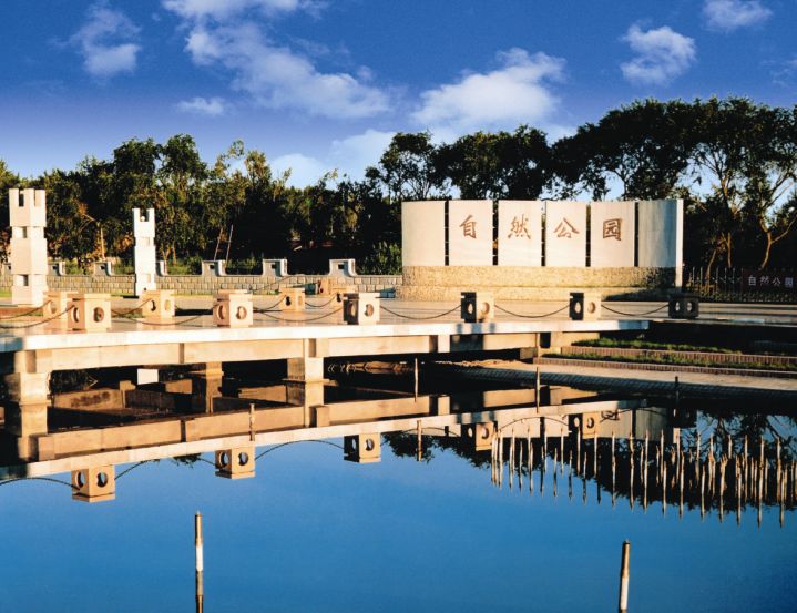 廊坊市赏花踏青第一名,廊坊赏桃花景点