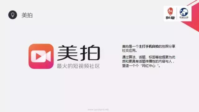 文娱行业地毯扫描:论吃喝玩乐我只服这四个天才!