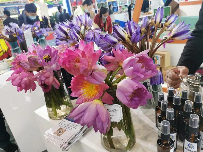 合肥农交会东西便宜吗,合肥农交会上的特产