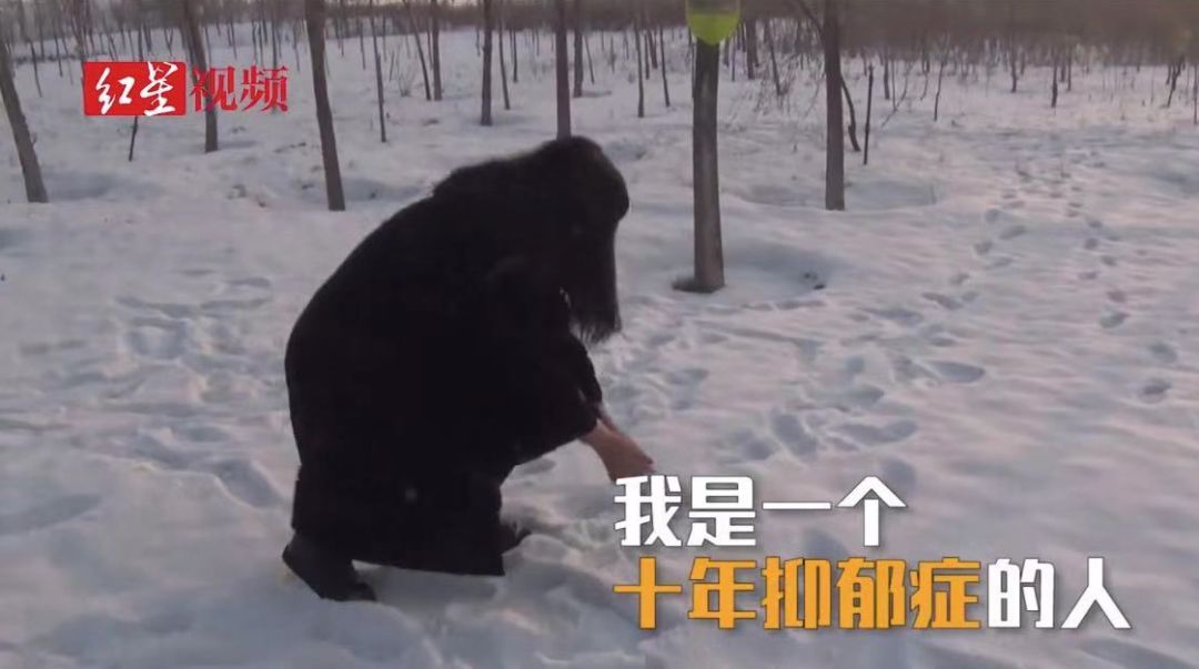 乔碧萝你别跑,乔碧萝你别跑链接