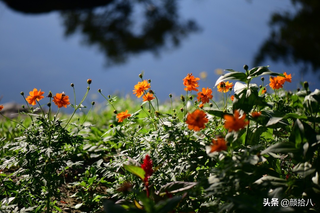 北京圆明园一日游推荐,圆明园秋色如画