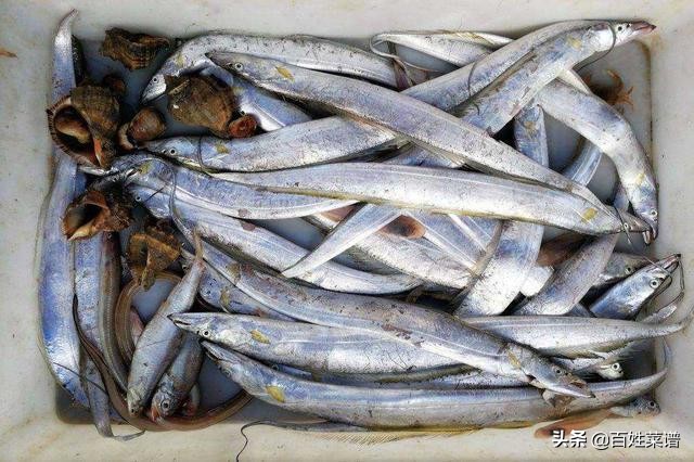 学厨艺视频教程全集,学习厨艺的技巧视频