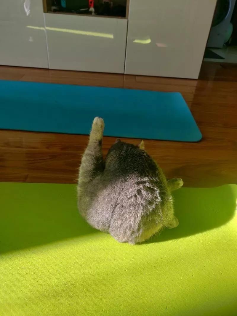 心态崩了，我的健身教练追到抖音上来了