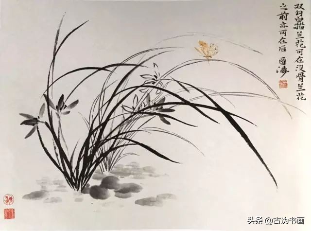 国画兰花技法讲解视频,徐湛国画兰花技法教学