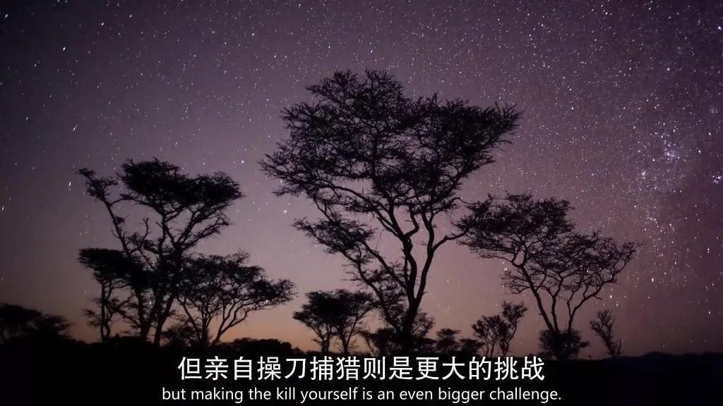 必看纪录片推荐建议收藏,推荐10部必看纪录片