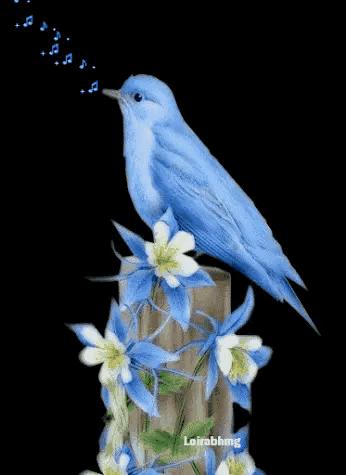 这是我见过最美丽的风景用英语,这是我见过最美的风景啥意思