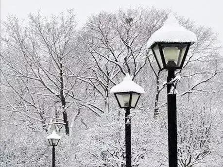 养殖业被垄断,生猪被垄断会是什么情况