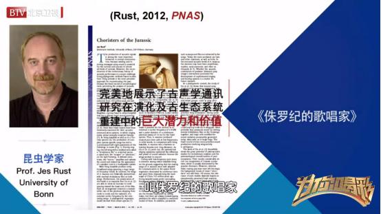 研究昆虫化石,探索昆虫的秘密研学方法和过程