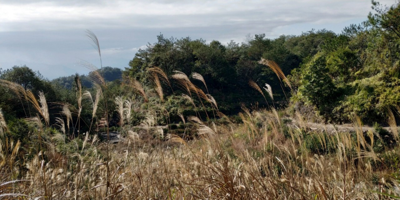 永泰姬岩寺,永泰姬岩图记详解
