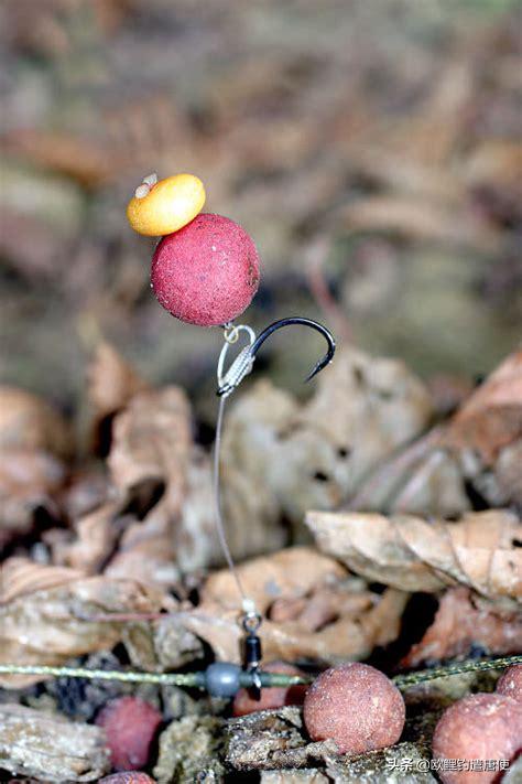 欧鲤钓钓组篇,欧鲤钓组和飞德钓组